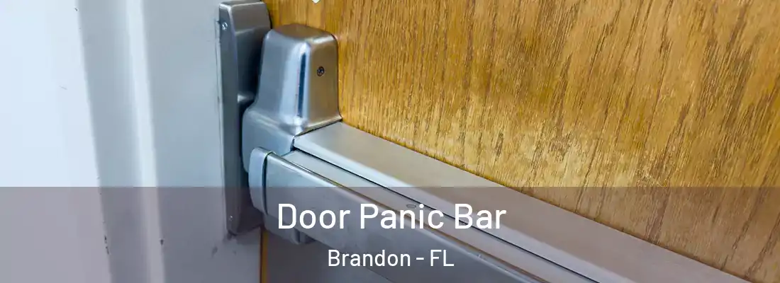 Door Panic Bar Brandon - FL