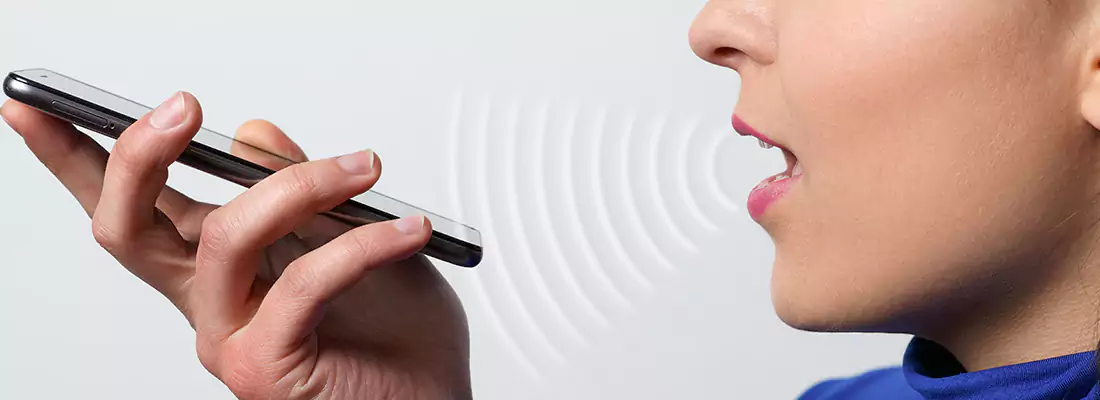 Residential and Commercial Voice Recognition Access Solutions in Brandon, FL