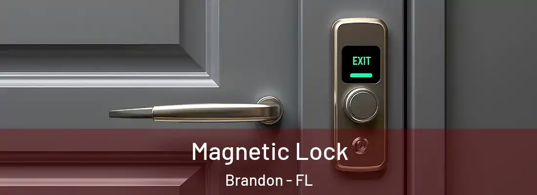 Magnetic Lock Brandon - FL
